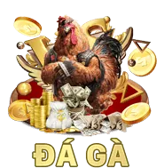 Hình ảnh đối tác